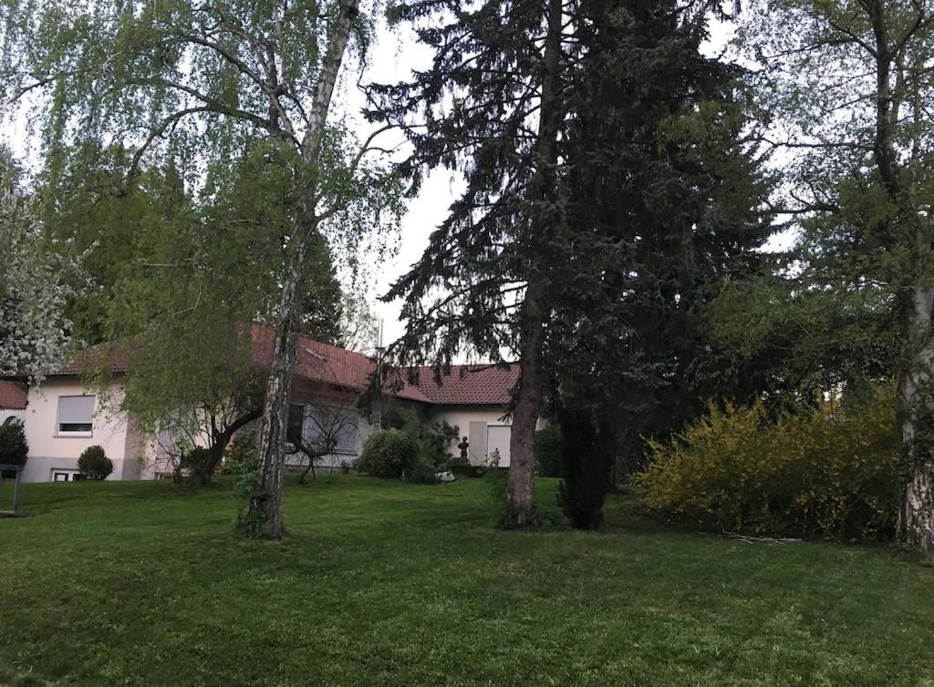 Schoene Ferienwohnung 2,5 Zimmer In Stadtnaehe Mit Eigenem Hofgarten バーリンゲン エクステリア 写真